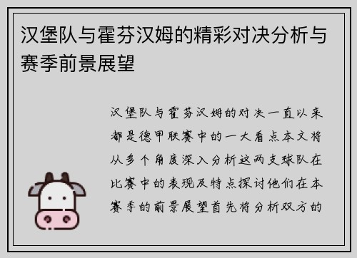 汉堡队与霍芬汉姆的精彩对决分析与赛季前景展望