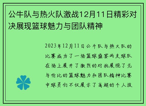 公牛队与热火队激战12月11日精彩对决展现篮球魅力与团队精神