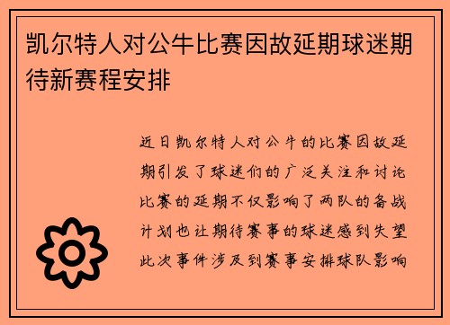 凯尔特人对公牛比赛因故延期球迷期待新赛程安排